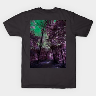 Majestic Fantasy Fall Wooded Trail Scene with Pink Foliage - Indian Creek Trail Kansas City T-Shirt